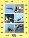 Обложка книги Соболев Д.А. Столетняя история "летающего крыла"